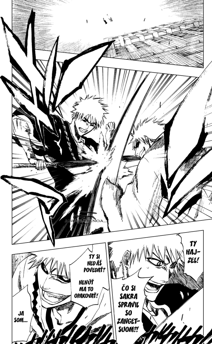 Bleach 218 16 kopie.jpg